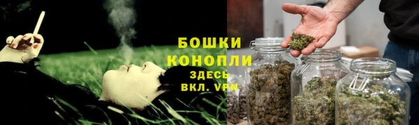 шишки Волосово