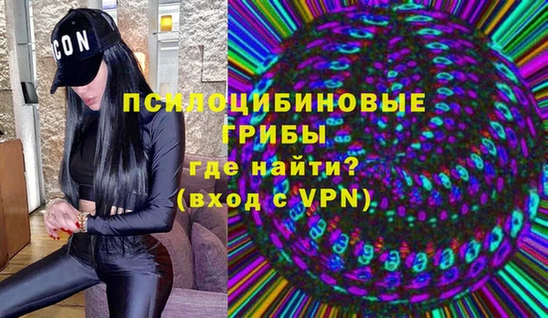 шишки Волосово