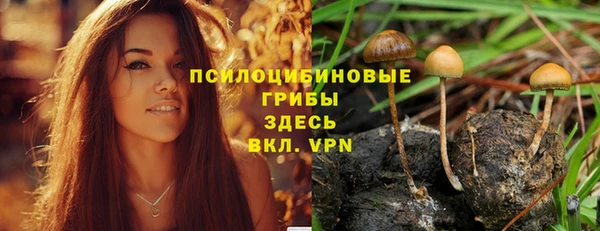 соль ск Волоколамск