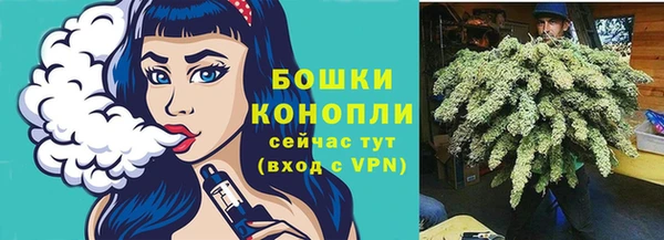 шишки Волосово