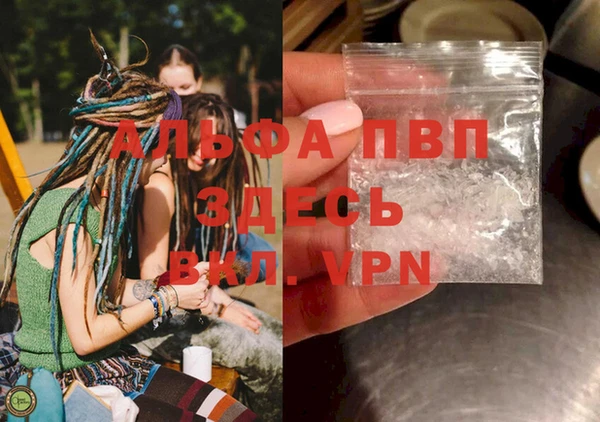 шишки Волосово